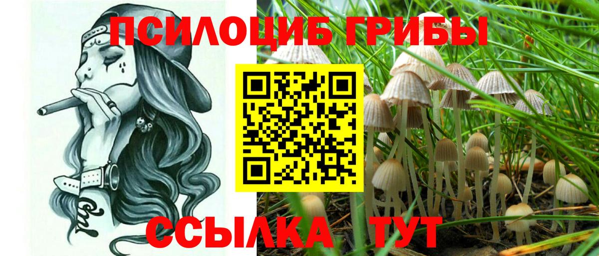 Псилоцибиновые грибы прущие грибы Асбест